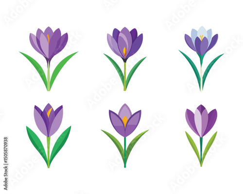 Crocus thick line, thing line and flat icons isolated on white background. Crocus sativus. Saffron flowers pictogram for spice production, eco emblem, sticker or other use. Vector illustration. Set.