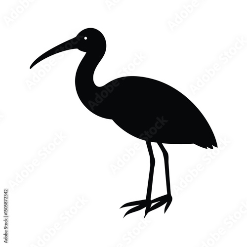 Ibis Sleek Vector Silhouette Design