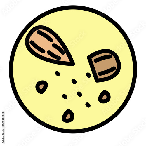 Almond Kernel Closeup Vector Filled Icon Design