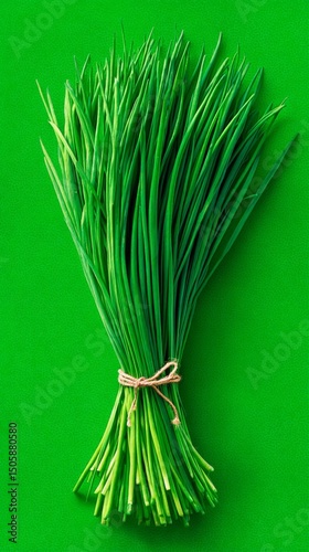 Fresh Chives Tied Together on a Vibrant Green Background Showcasing Natural H...