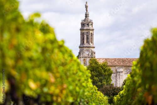 Bordeaux vineyard called Cotes de Bourg, on the edge of the Gironde estuary, close-up of the vineyards and the church of Bayon sur Gironde in the background