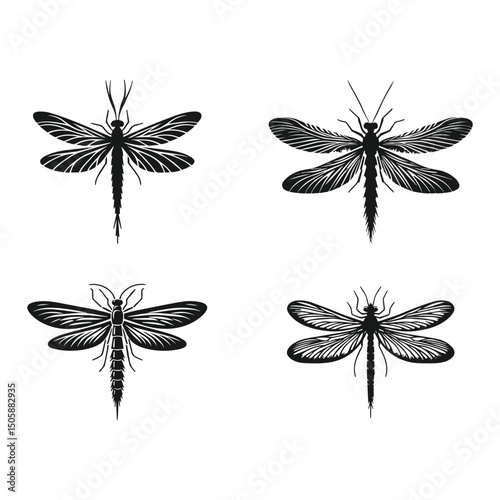 Silhouettes of mayfly vector on white background. Mayfly insect icon