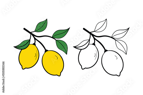 fresh lemons on branch with green leaves and outline version vector illustration