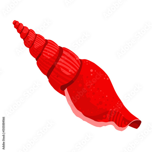 sea shell isolated – vector illustration	