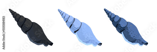 Set of sea shell isolated – vector illustration	