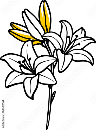 Elegant White and Yellow Lilies Flower Illustration