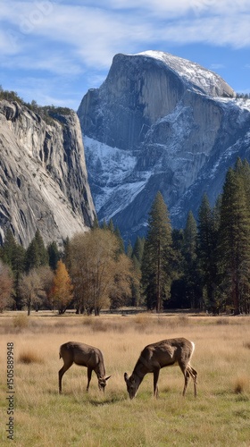 Majestic Elk Grazing in a Serene Meadow With Rocky Mountains in the Backgroun...
