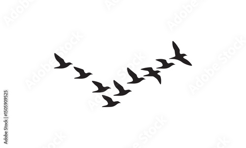 Flying Birds Formation
