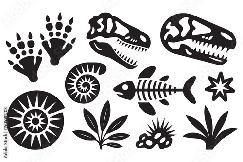 Collection of Dinosaur Skulls, Fossils, and Track Silhouettes