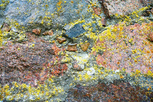 Wallpaper Mural Stone wall. Background of old stone wall with concrete. Old stones in concrete structure. Concrete wall texture. Sidewalk background, texture. Stone paving sidewalk. Pedestrian paving for footpath. Torontodigital.ca