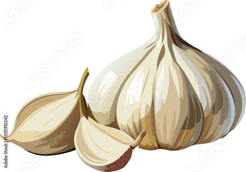 Garlic set. Whole garlic head and unpeeled cloves. Spice ingredient for cooking and healthy nutrition A peeled garlic bulb with individual cloves on a white background 