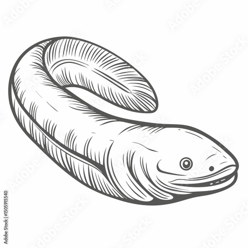 Taita African Caecilian Line Art Illustration