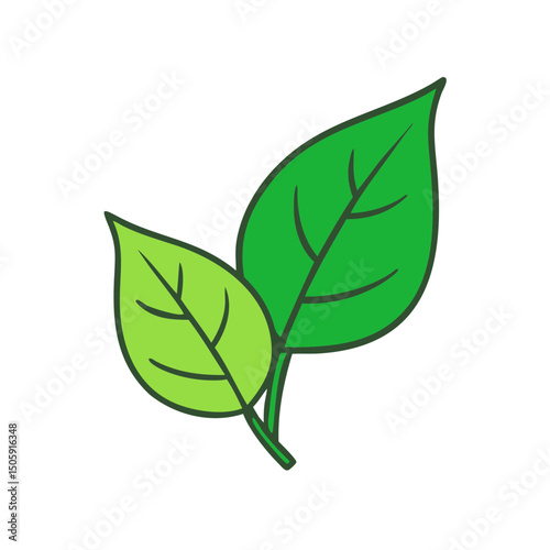 Green leaves, nature symbol, for eco design