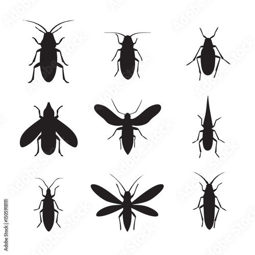 Bug silhouette set, Black & White silhouette set