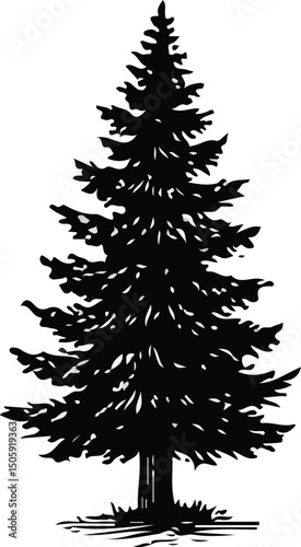 A detailed black silhouette of a tall pine tree with dense branches and needles, symbolizing nature, wilderness, and outdoor serenity. Perfect for nature, forest, and environmental themes