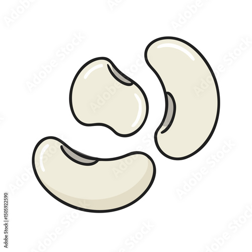 Lima Beens Vector Transparent Background