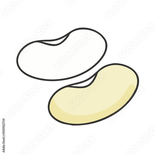 Lima Beens Vector Transparent Background