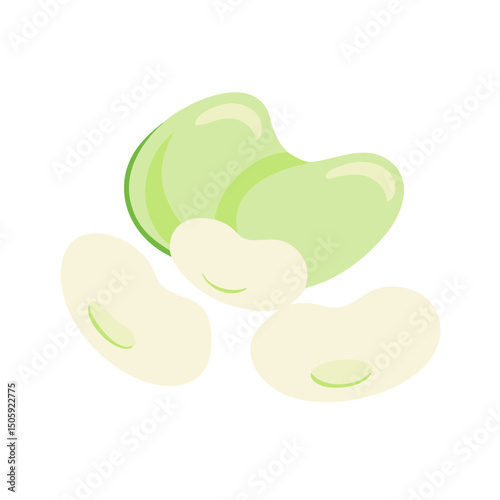 Lima Beens Vector Transparent Background