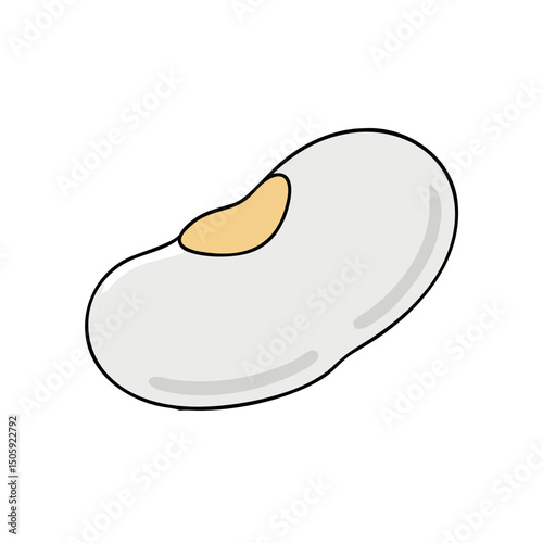 Lima Beens Vector Transparent Background