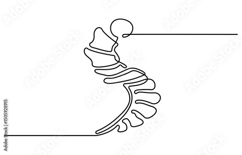Continuous one line drawing bones of human spine.  Wrist bones in single line art vector illustration. Editable stroke.