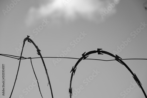 barbed wire against the sky, barbed wire on the fence, barbed wire fence, barbed wire, black and white image