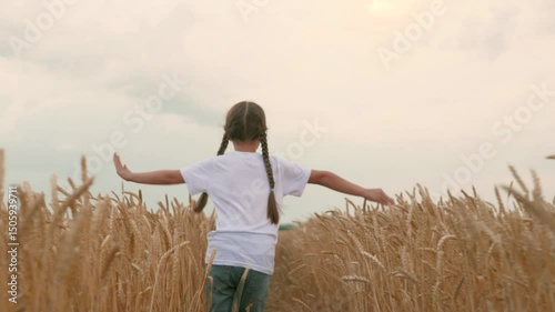 agriculture, wheat field, golden wheat farm field sunset, little girl running across field get married. agriculture. Playing from pilot airplane. My childhood dream fly. View back. concept agriculture