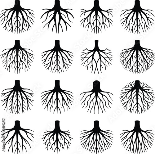 Set black silhouettes of tree roots isolated on white background