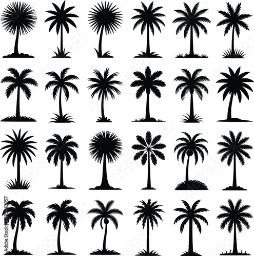 Collection of twenty four black silhouette palm trees