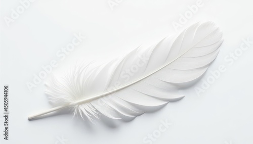 Single pristine white feather against pure white backdrop, beauty, gentle, background