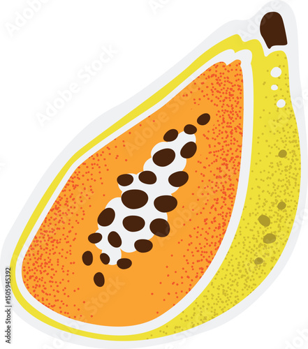 Papaya Fruit Hand-drawn Vector Illustration Isolated on Transparent Background