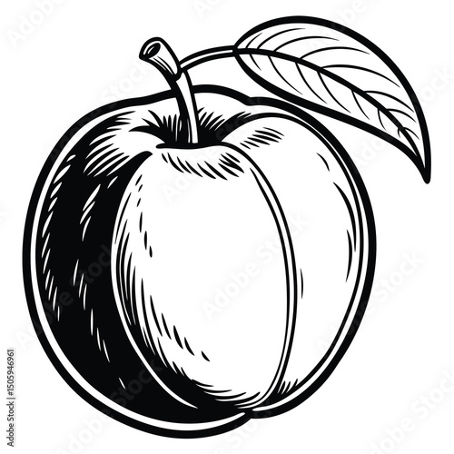 Detailed black and white illustration of a peach
