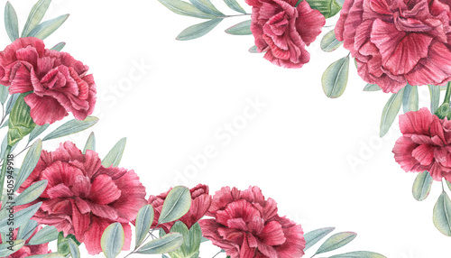 Watercolor red carnations and eucalyptus branches rectangle border isolated background. Floral illustration with copy space for text. For wedding invitation, rustic floral design, romantic branding