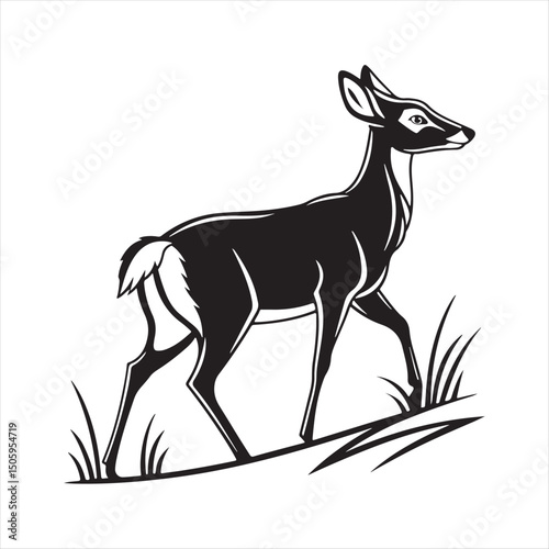white tailed deer silhouette vector