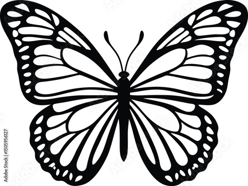 Elegant Black and White Butterfly Illustration for Coloring Pages and Designs