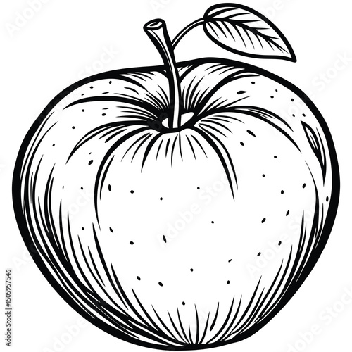Hand drawn apple illustration