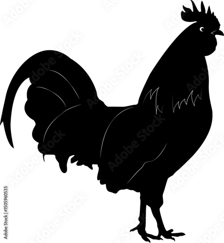 Rooster. Domestic bird. Symbol of awakening and the beginning of a new day. Feathered domestic animal. Cock.