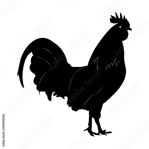 Rooster. Domestic bird. Symbol of awakening and the beginning of a new day. Feathered domestic animal. Cock.