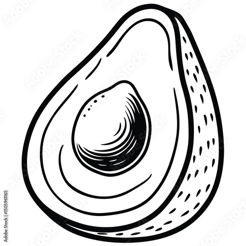 Half Avocado Illustration (1)