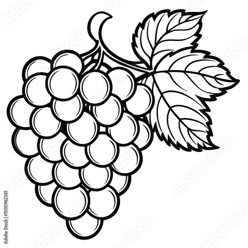 Black and white illustration of a bunch of grapes with leaves