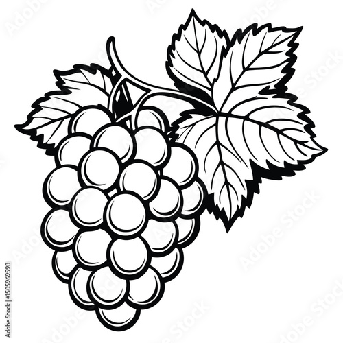Black and white illustration of a bunch of grapes with leaves (1)