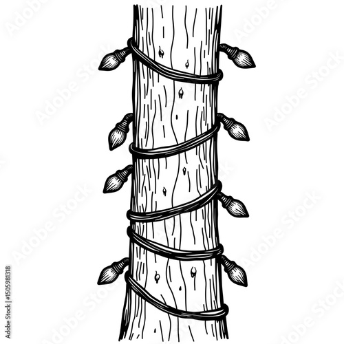 Hand-drawn holiday lights wrapping around pine tree trunk, festive spirit