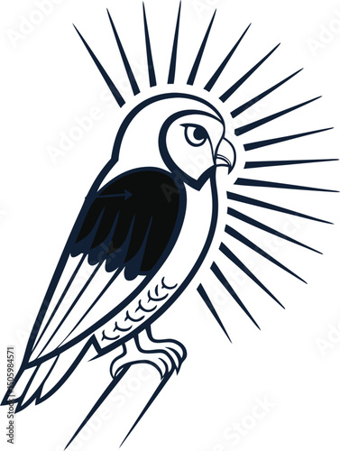 Black and white parrot