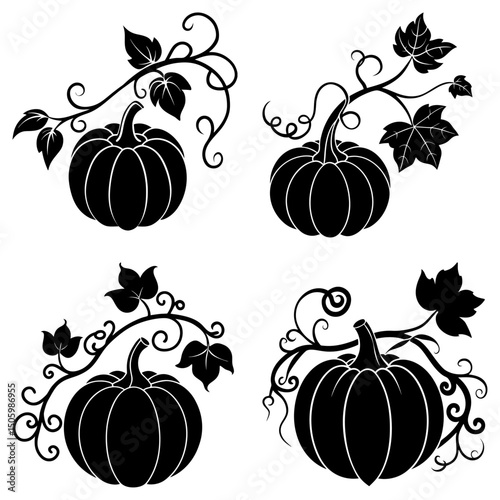 Pumpkin Vine Silhouette vector