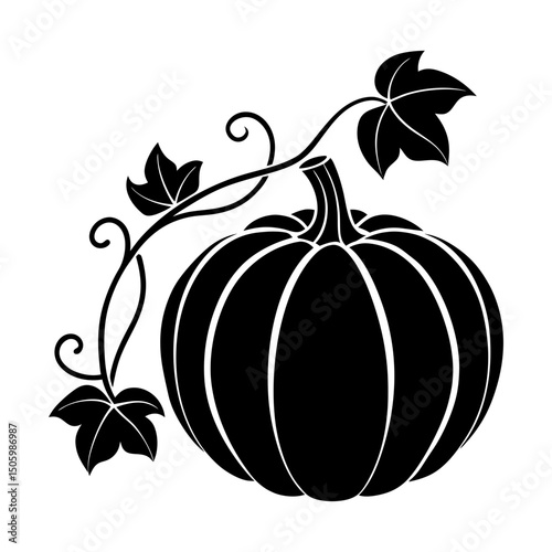 Pumpkin Vine Silhouette vector
