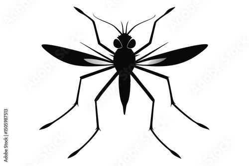 Black arachnid isolated on white, a scary insect vector illustration