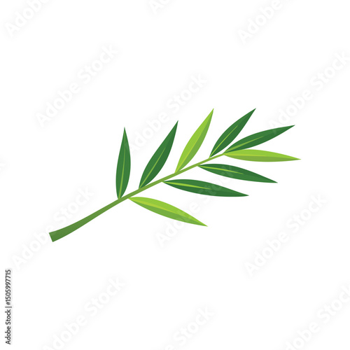 Bamboo Leaf Vector Illustration on White Background
