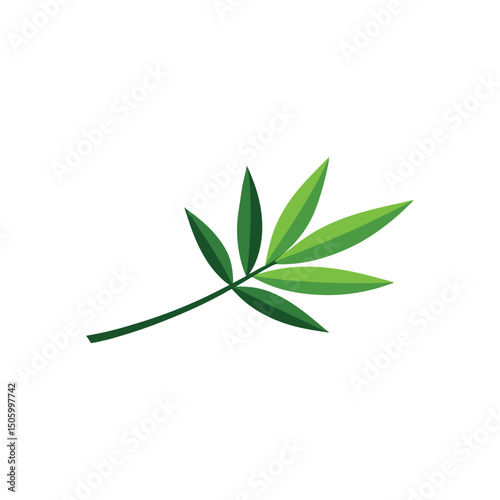 Bamboo Leaf Vector Illustration on White Background