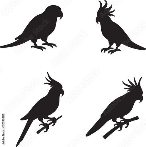 Tropical Parrot Silhouettes vector