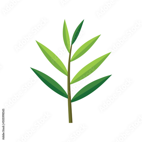 Bamboo Leaf Vector Illustration on White Background