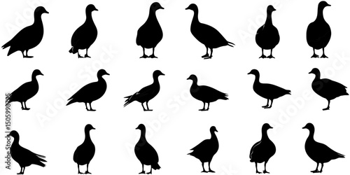 Diverse silhouettes of ducks and geese showcasing various poses and positions for creative design and illustration